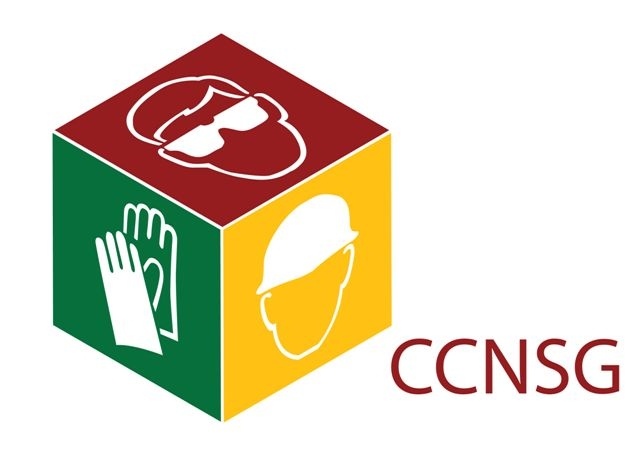 CCNSG Logo