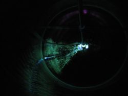 CIP test / Riboflavin testing, biofilm formation adhesion, FAT testing