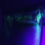 Biofilm Audit, CIP validation process / Riboflavin testing, biofilm formation adhesion, FAT testing